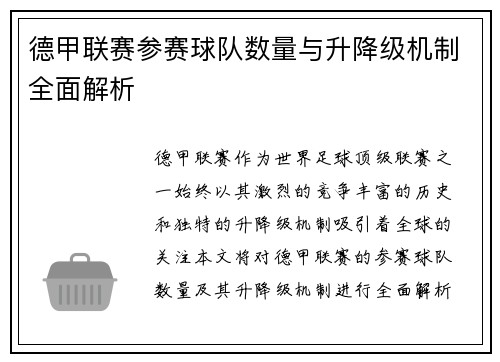 德甲联赛参赛球队数量与升降级机制全面解析