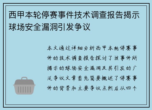 西甲本轮停赛事件技术调查报告揭示球场安全漏洞引发争议